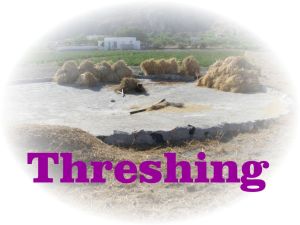 https://commons.wikimedia.org/wiki/File:Threshing_place,_Santorini,_Greece.jpg