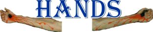 hands