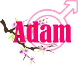 adam