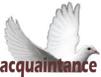 Acquaintance
